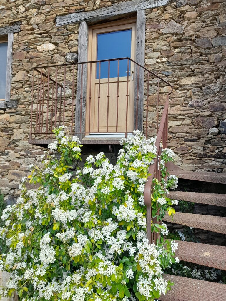 Chez Poti Pota chambre d'hote en Aveyron proche Réquita(9)