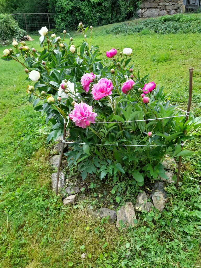 Chez Poti Pota chambre d'hote en Aveyron proche Réquita(1)