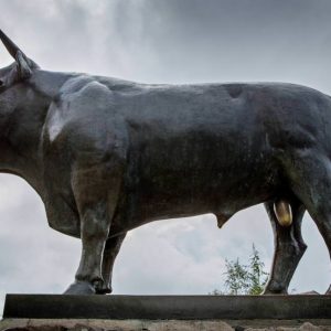 Aller voir le taureau de Laguiole et repartir avec son couteau aveyronnais , un beau souvenir de Chez Poti Pota